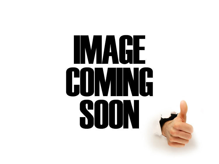 Accelerator pump plunger / Mikuni RS TM flatslide carburetor